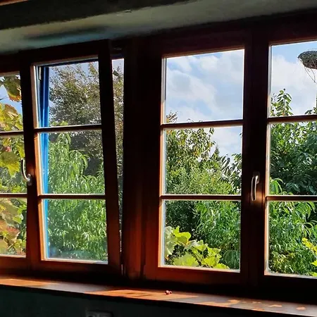 Blaukehlchenbleibe * Groß Nemerow