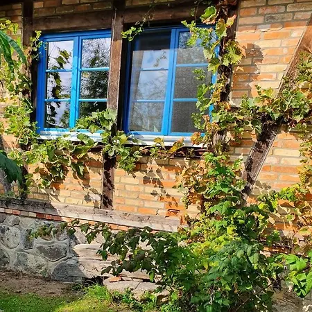 Blaukehlchenbleibe Groß Nemerow