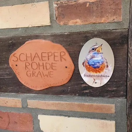 公寓 Blaukehlchenbleibe Groß Nemerow