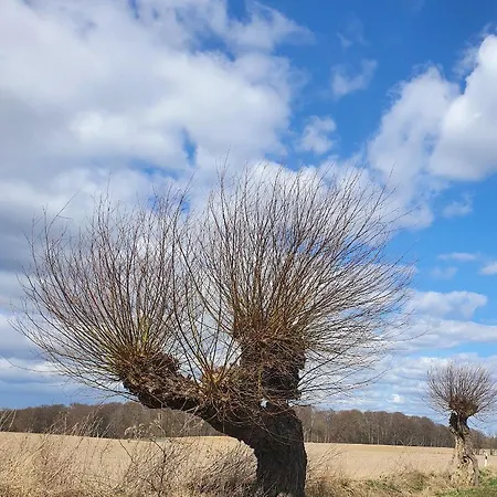 Blaukehlchenbleibe *