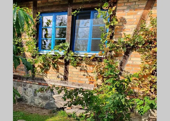 Blaukehlchenbleibe Groß Nemerow