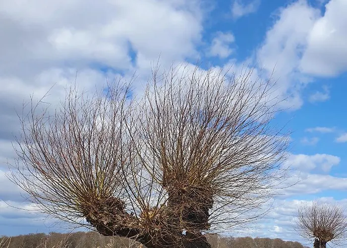 Blaukehlchenbleibe *